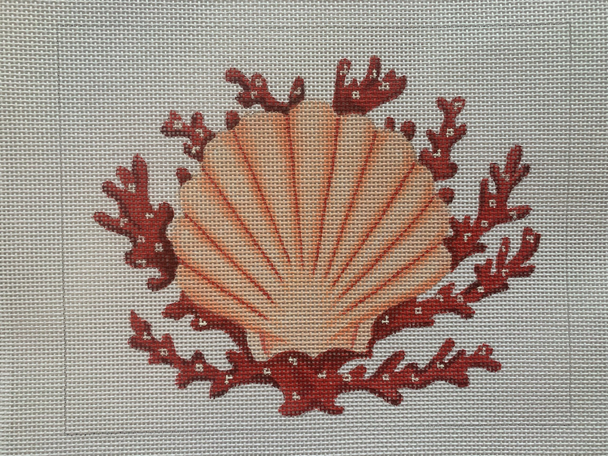 Scallop Shell With Coral