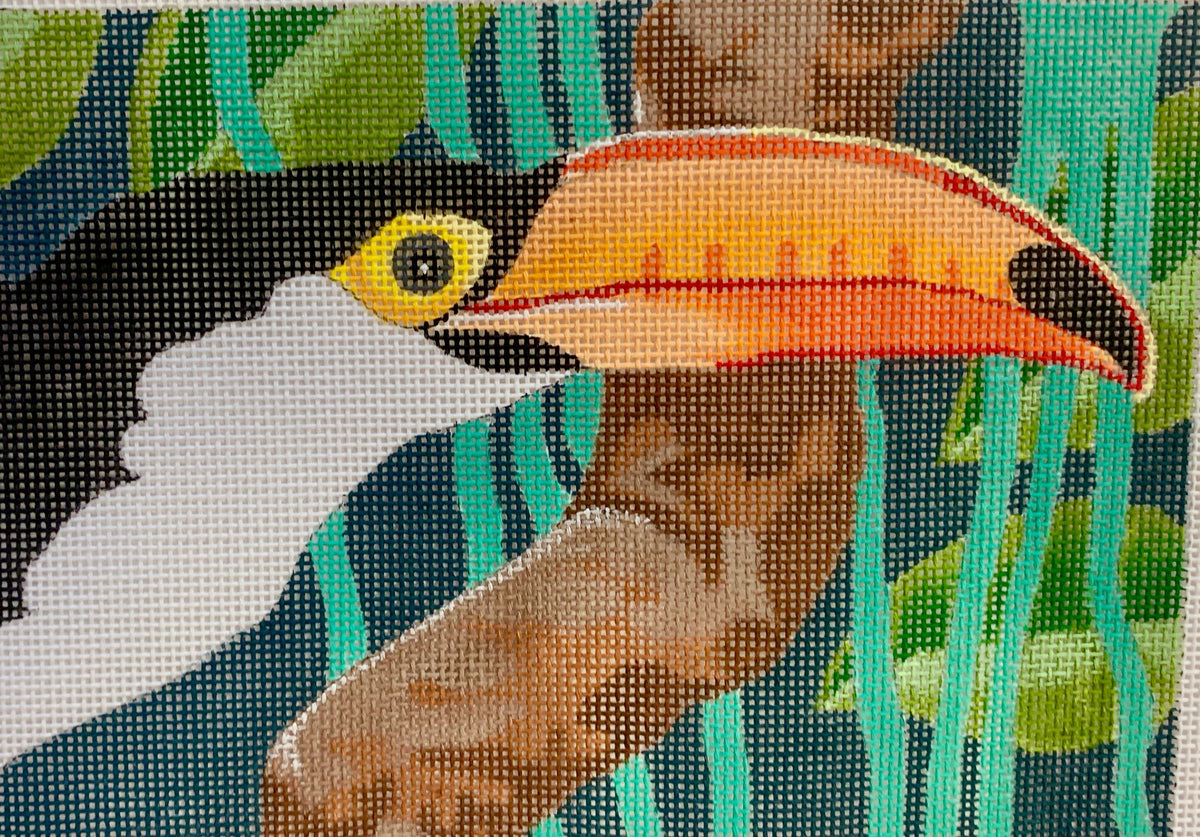 Toucan