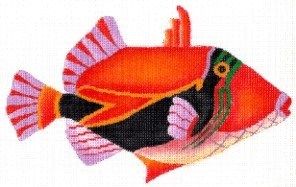 Trigger Fish